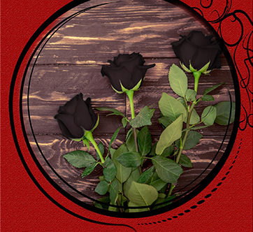 Три чёрные розы и дом на холме